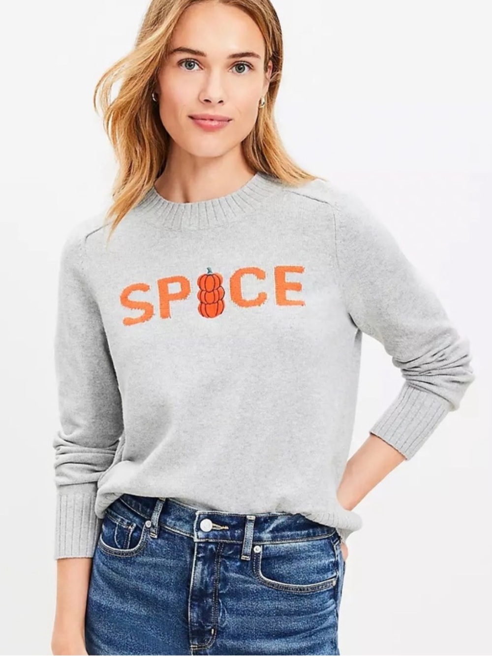 🆕 NWT Ann Taylor LOFT Size Small Fall Pumpkin Spice Sweater